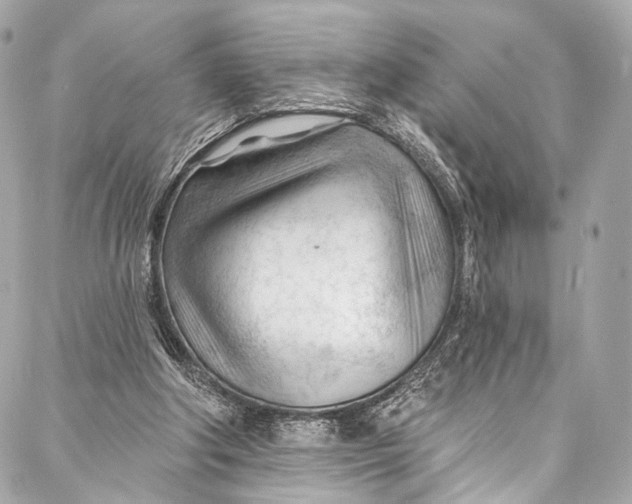 X0000087030202200705071543