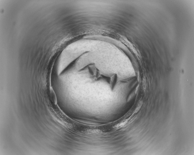 X0000087030203200705071543