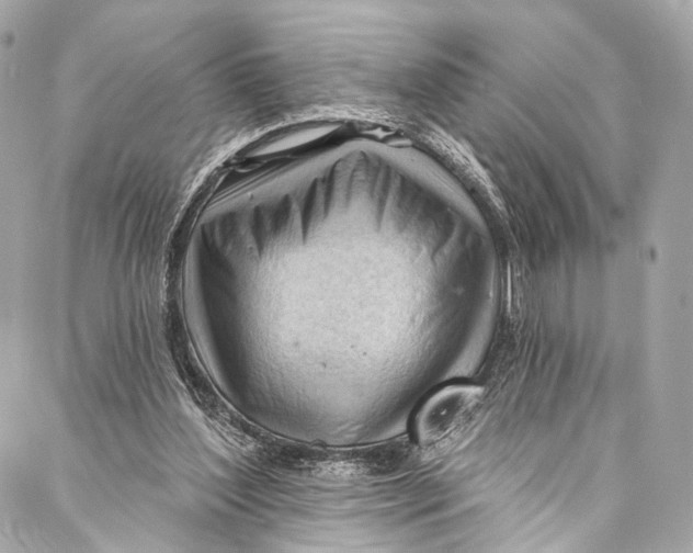 X0000087030204200705071543