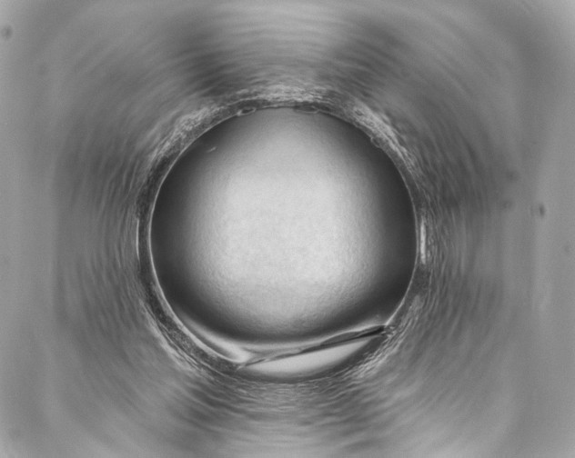 X0000087030205200705071543