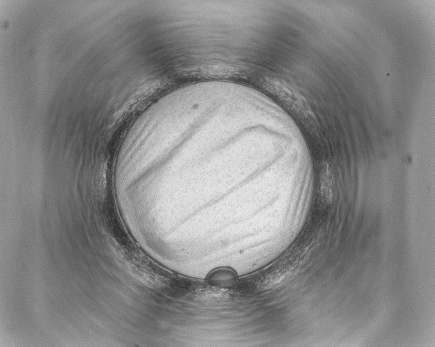 X0000087030206200705071543