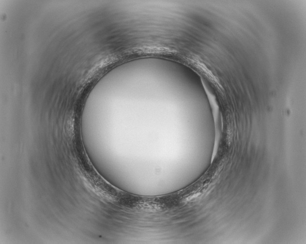 X0000087030207200705071543