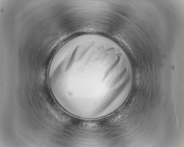 X0000087030208200705071543