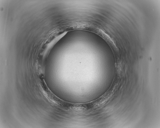 X0000087030209200705071543