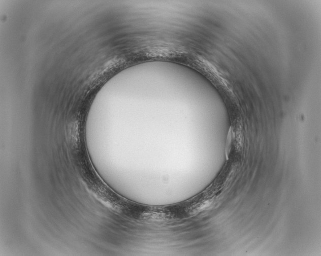 X0000087030211200705071543