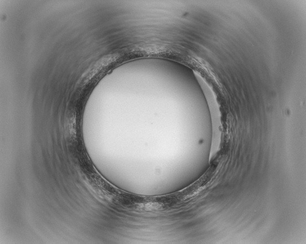 X0000087030212200705071543