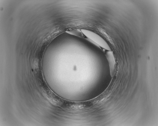 X0000087030213200705071542