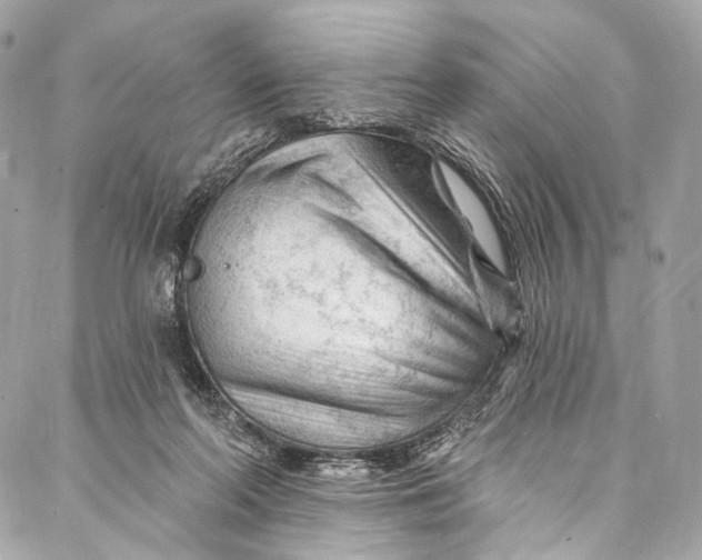 X0000087030214200705071542