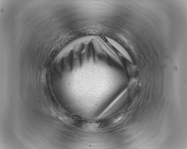 X0000087030217200705071542