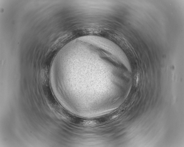 X0000087030218200705071542