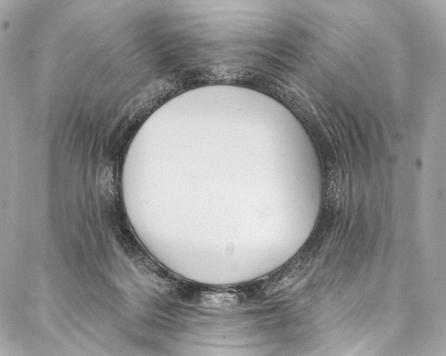 X0000087030220200705071542