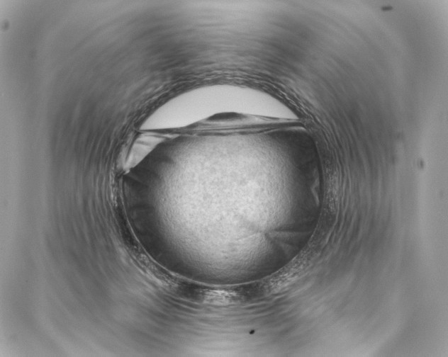 X0000087030222200705071542