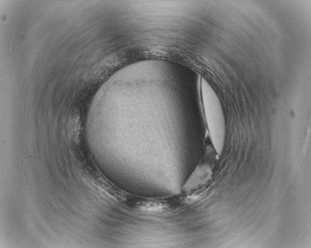 X0000087030223200705071542