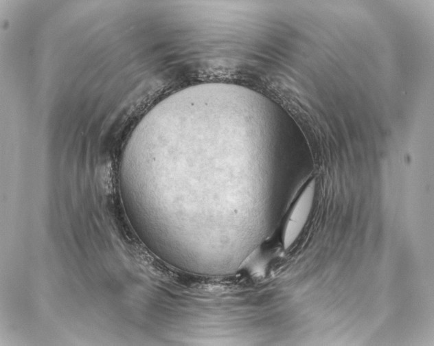 X0000087030224200705071542