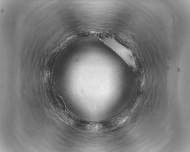 X0000087030225200705071542