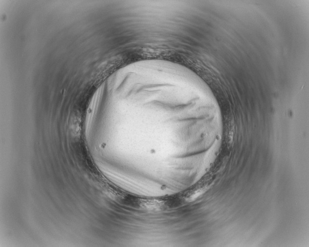 X0000087030226200705071542