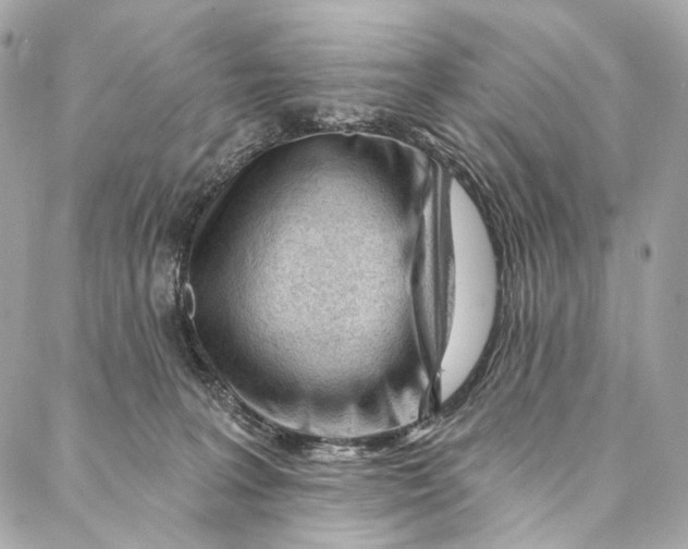 X0000087030227200705071542