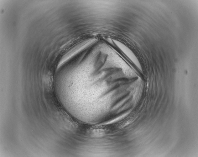 X0000087030228200705071542