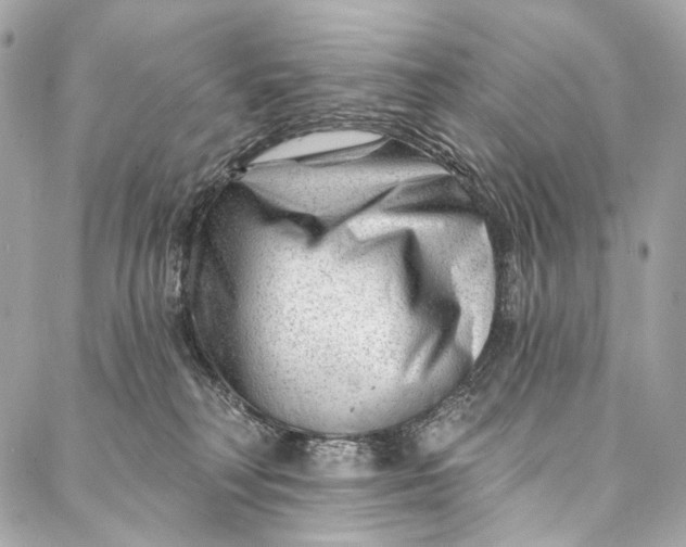 X0000087030230200705071542