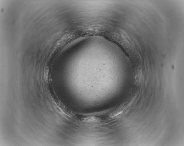 X0000087030231200705071542