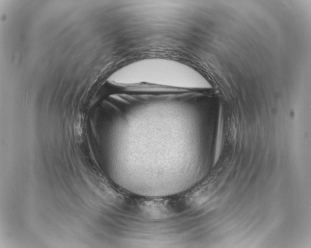 X0000087030232200705071542