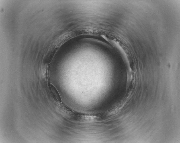 X0000087030233200705071542