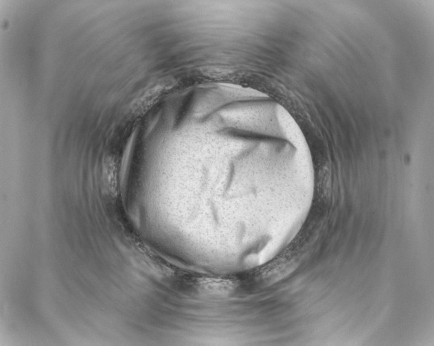 X0000087030234200705071542