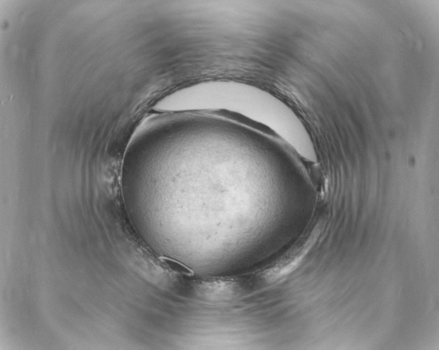 X0000087030237200705071542