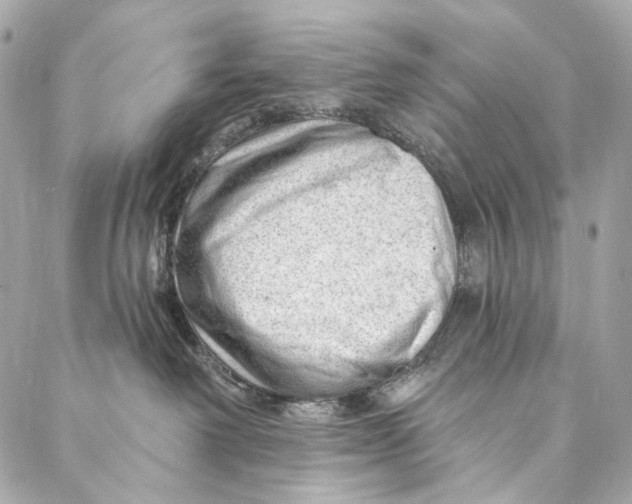 X0000087030238200705071542