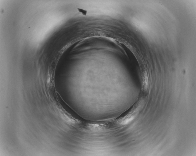 X0000087030239200705071542