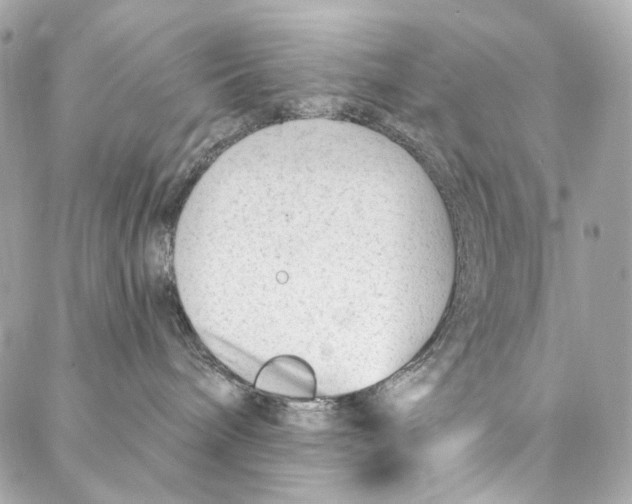 X0000087030240200705071542