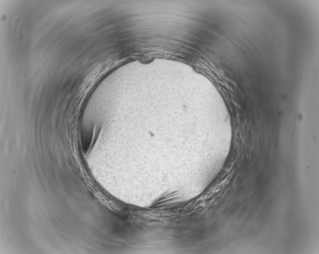 X0000087030241200705071541