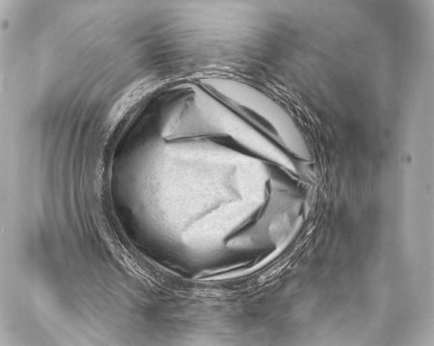 X0000087030242200705071541