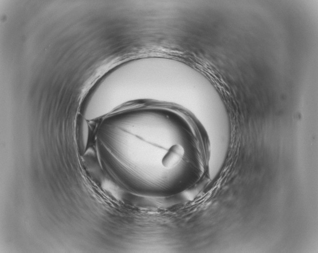 X0000087030244200705071541