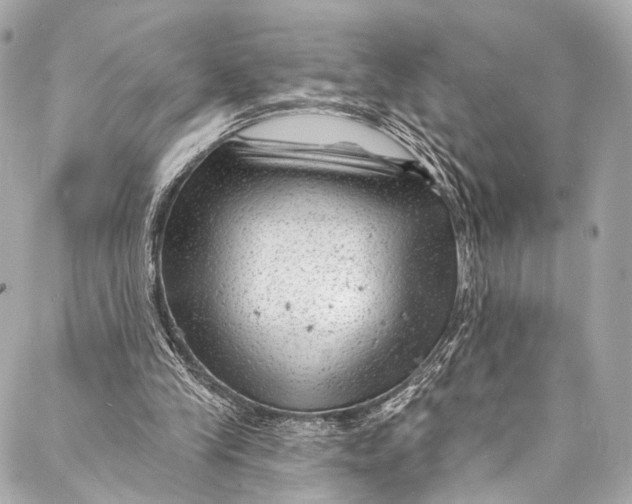 X0000087030245200705071541