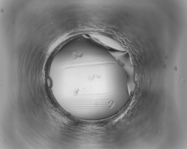 X0000087030246200705071541