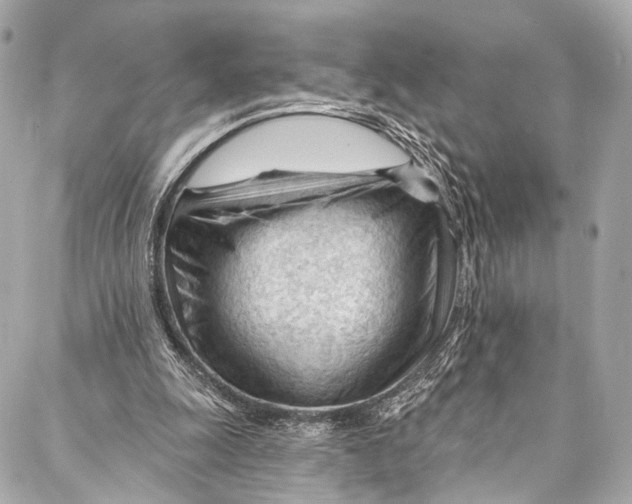 X0000087030247200705071541