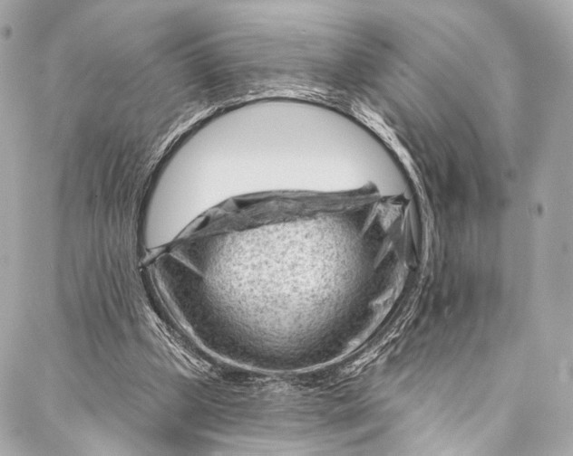 X0000087030249200705071541