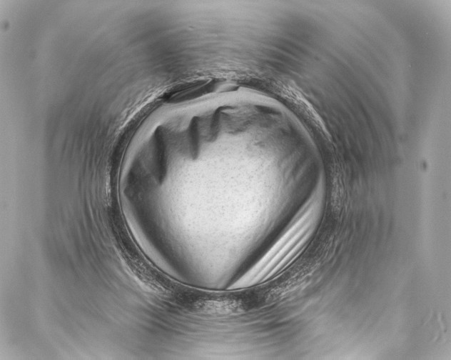 X0000087030251200705071541