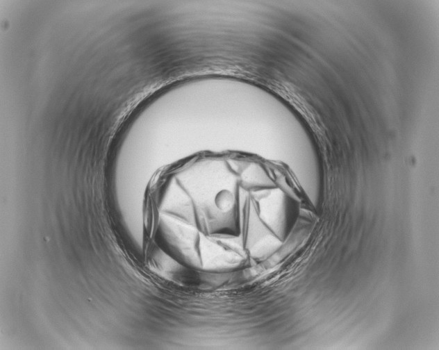 X0000087030252200705071541