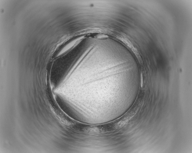 X0000087030253200705071541