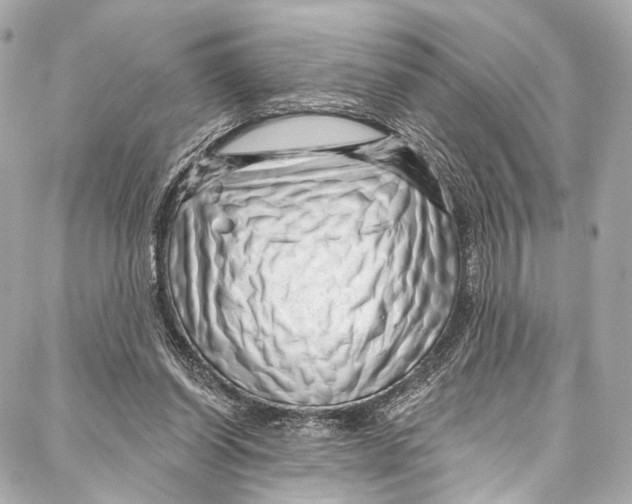 X0000087030254200705071541