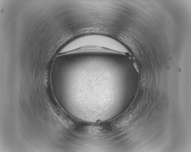 X0000087030255200705071541