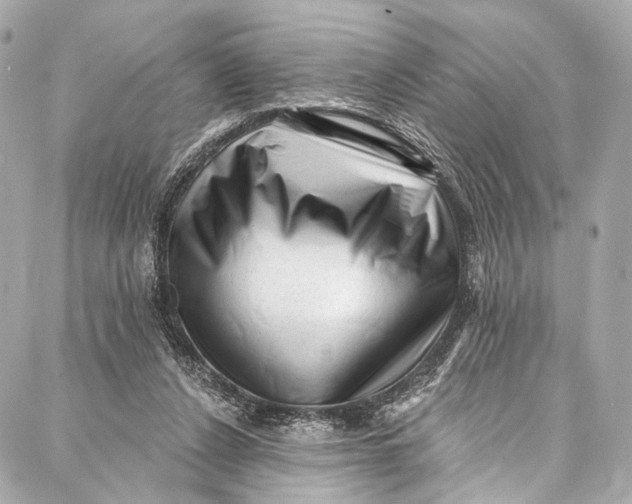 X0000087030256200705071542