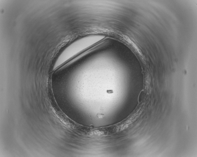 X0000087030257200705071542