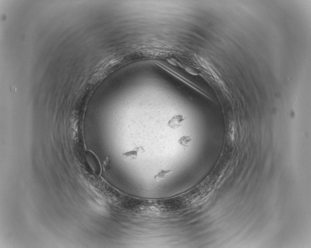 X0000087030259200705071542