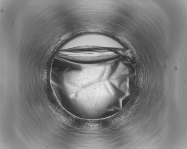 X0000087030260200705071542