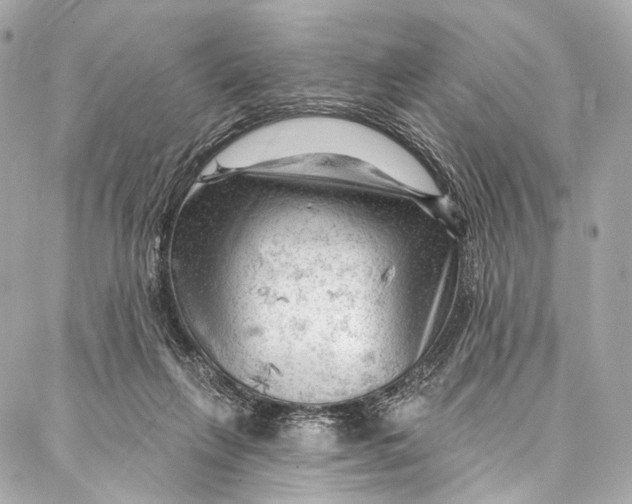 X0000087030263200705071542