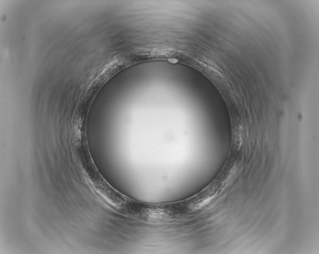 X0000087030264200705071542