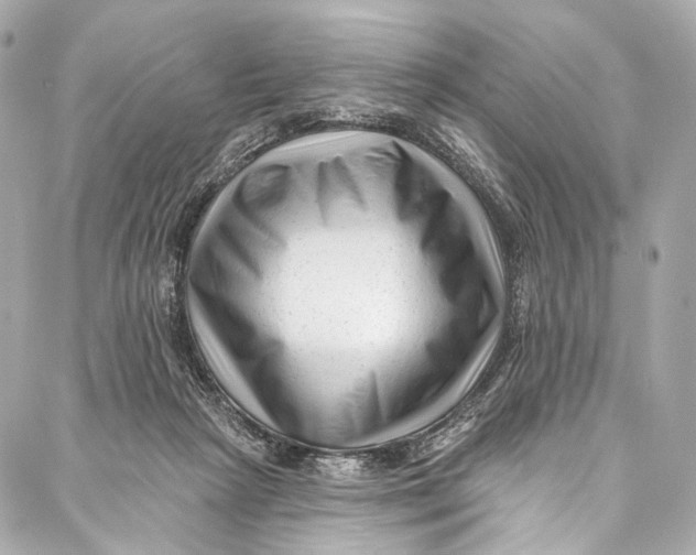 X0000087030265200705071542